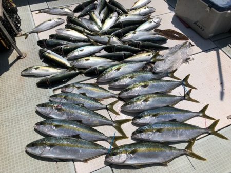 ふじしめ丸 釣果