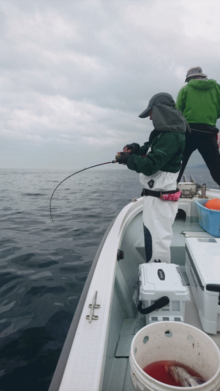 遊漁船ブルーウッズ 釣果