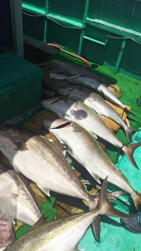 フィッシングハウス伊藤 釣果