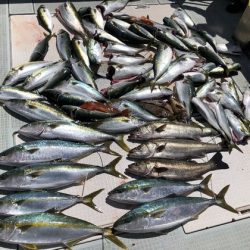 ふじしめ丸 釣果