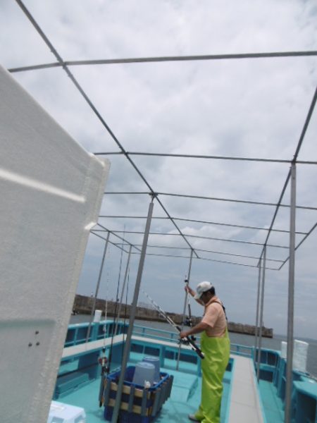 かもめ釣船 釣果