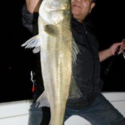 Marine T Design　マリンティーデザイン 釣果