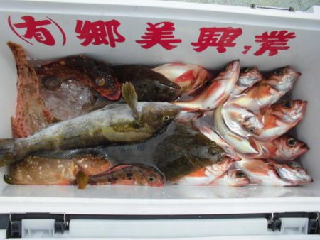 大進丸（新潟） 釣果