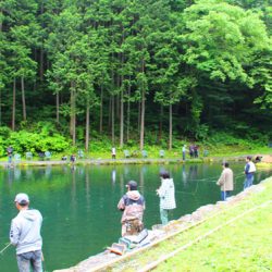 小菅トラウトガーデン 釣果
