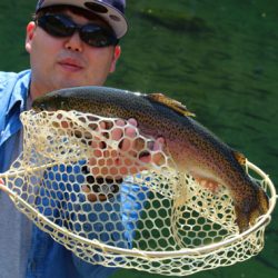 小菅トラウトガーデン 釣果