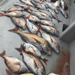 寿裕 （YOSHIHIRO） 釣果