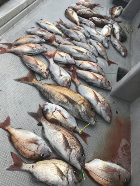 寿裕 （YOSHIHIRO） 釣果