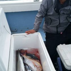 第五慶門丸 釣果