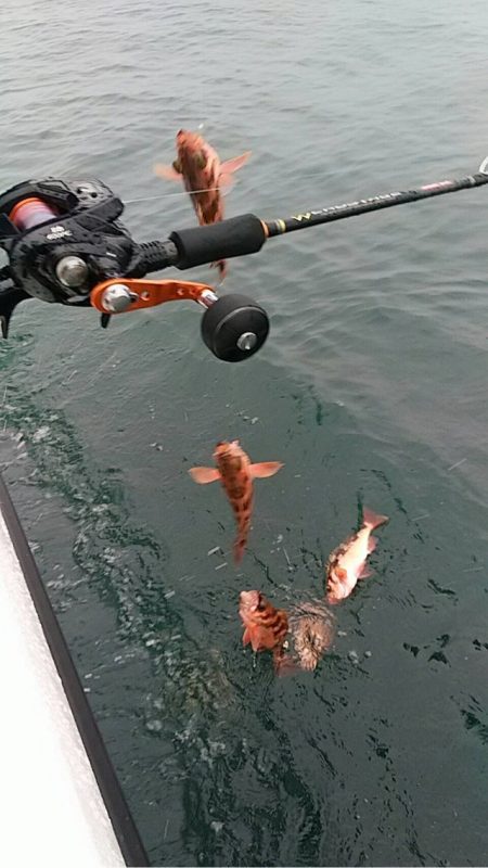 宝昌丸 釣果
