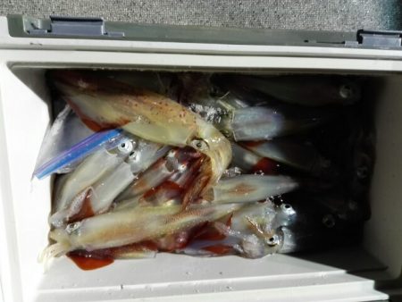 第二大福丸 釣果