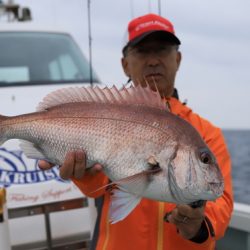 クルーズ 釣果