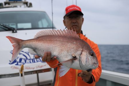 クルーズ 釣果