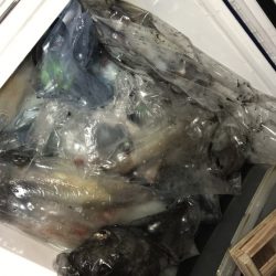 寿裕 （YOSHIHIRO） 釣果