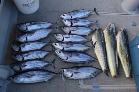 へいみつ丸 釣果