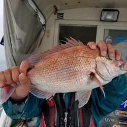 遊漁船 ニライカナイ 釣果