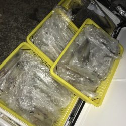 寿裕 （YOSHIHIRO） 釣果