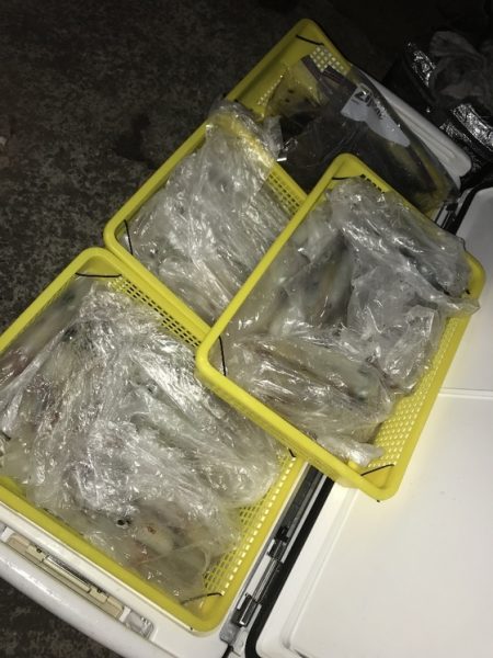 寿裕 （YOSHIHIRO） 釣果