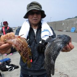 大進丸(新潟) 釣果