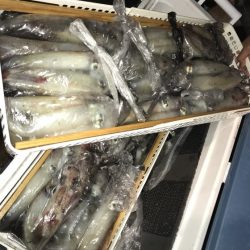 寿裕 （YOSHIHIRO） 釣果