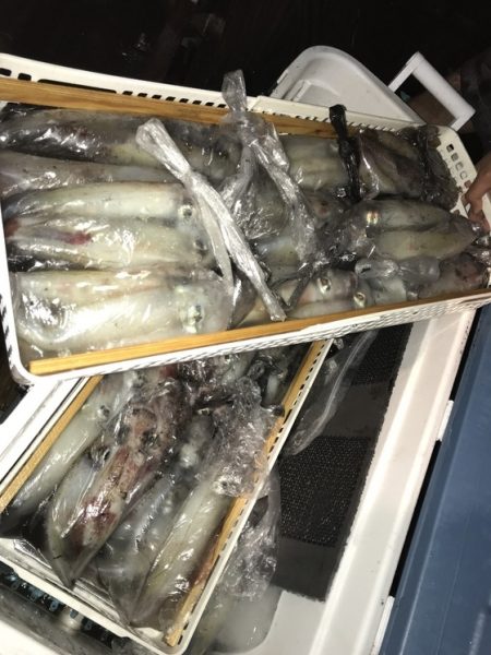 寿裕 （YOSHIHIRO） 釣果