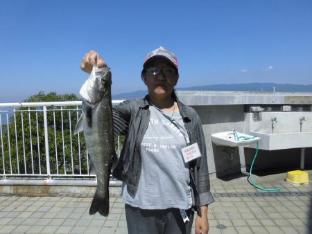 尼崎市立魚つり公園 釣果