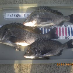 姫路市立遊魚センター 釣果