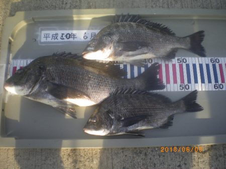 姫路市立遊魚センター 釣果