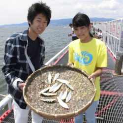 尼崎市立魚つり公園 釣果