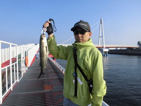 尼崎市立魚つり公園 釣果