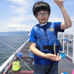 尼崎市立魚つり公園 釣果