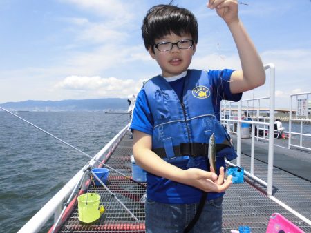 尼崎市立魚つり公園 釣果