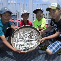 尼崎市立魚つり公園 釣果