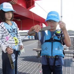 尼崎市立魚つり公園 釣果