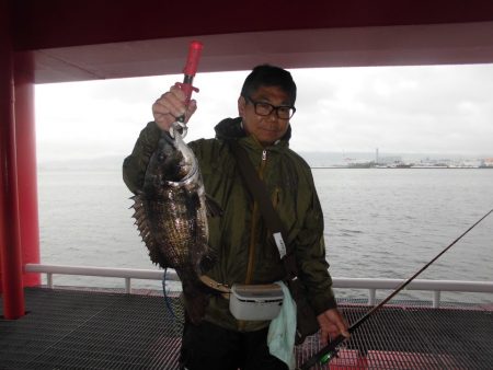 尼崎市立魚つり公園 釣果