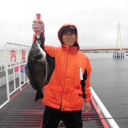 尼崎市立魚つり公園 釣果