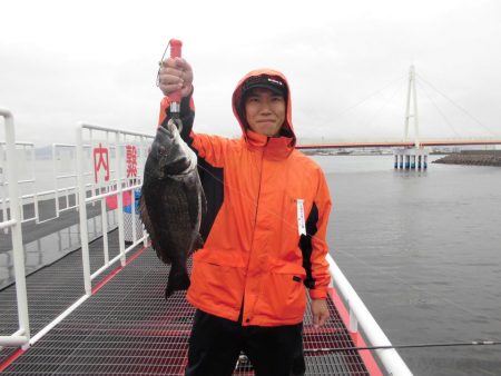 尼崎市立魚つり公園 釣果