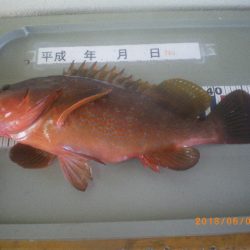 姫路市立遊魚センター 釣果