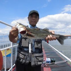 尼崎市立魚つり公園 釣果
