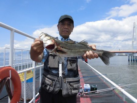 尼崎市立魚つり公園 釣果