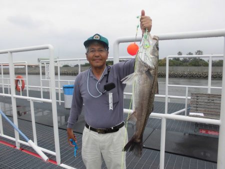 尼崎市立魚つり公園 釣果