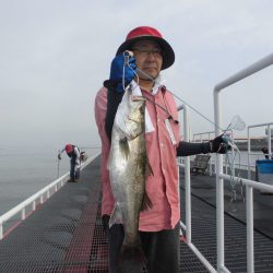 尼崎市立魚つり公園 釣果