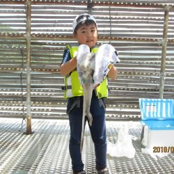 下関フィッシングパーク 釣果