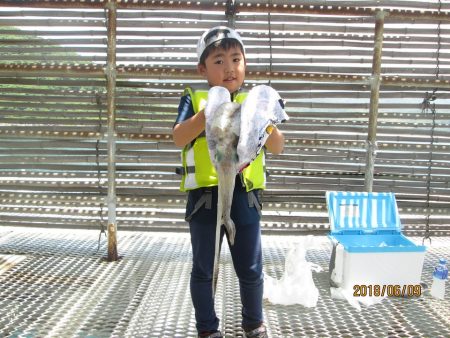 下関フィッシングパーク 釣果