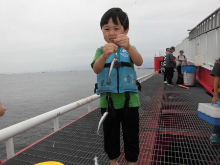 尼崎市立魚つり公園 釣果