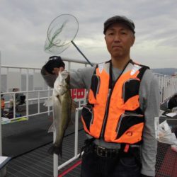 尼崎市立魚つり公園 釣果