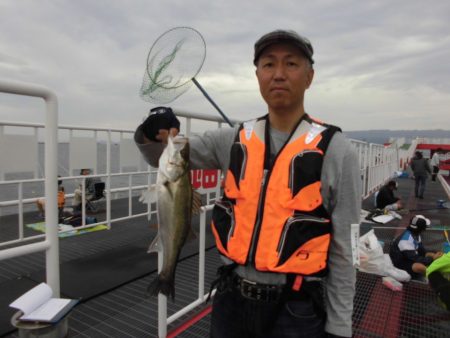 尼崎市立魚つり公園 釣果