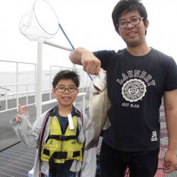 尼崎市立魚つり公園 釣果