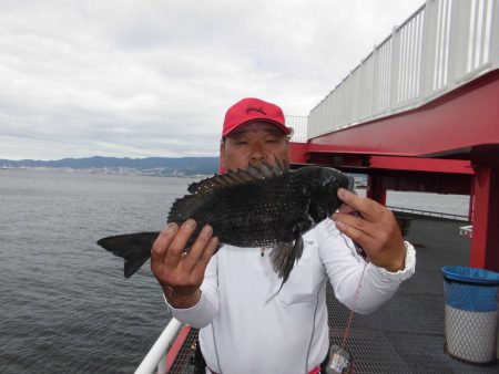 尼崎市立魚つり公園 釣果