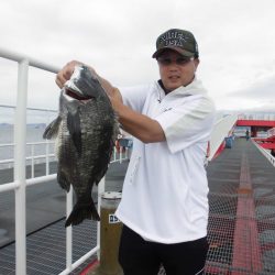 尼崎市立魚つり公園 釣果