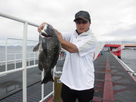 尼崎市立魚つり公園 釣果